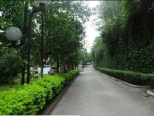 精装大两房,中高楼层,出入方便