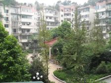 柏香林200平院子带大五房出售 接手即可做麻将馆营业