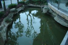 城北中医院旁,住家精装修,价格好谈,美丽得很