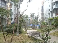 住家跃层结构,房东诚心出售大阳光露台价格可谈