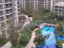 鹭岛国际 3室2厅 南