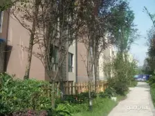 临江第①排,楼层三楼,实际在二楼,环境好,配套好