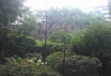 晶蓝半岛一期 4室2厅 东 东南