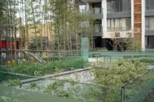 晶蓝半岛一期 4室1厅 东北