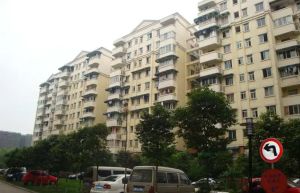 兴元丽园B区 3室1厅 西北