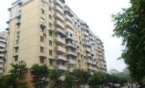 兴元丽园A区3室1厅西南