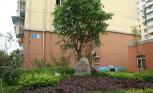 兴元丽园A区 2室1厅 东北