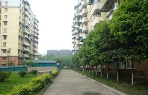 兴元丽园B区3室1厅西南