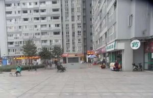 左右1室1厅南