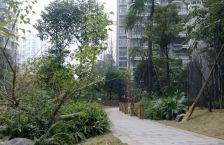 世纪金沙 3室2厅 东南 西北