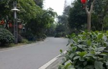 世纪金沙 3室2厅 东北