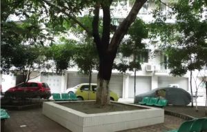 金桔花园二期南苑4室2厅西北
