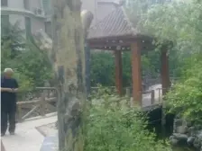 长江路 中间楼层 大两房 满五 出行方便 电梯房 南北通透