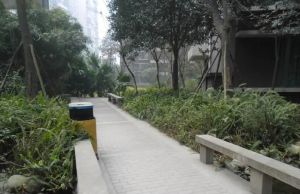 百仁安盛3室2厅西北