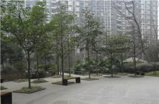 百仁安盛3室2厅东南西南