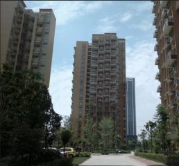 新桥逸景A区1室1厅西南