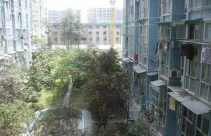 楠丽湾1室1厅东南
