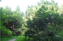 华阳滨河花园 3室2厅 东南