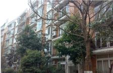 华阳滨河花园 5室3厅 南