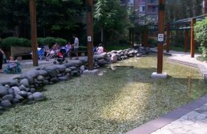 水漪袅铜2室1厅南北