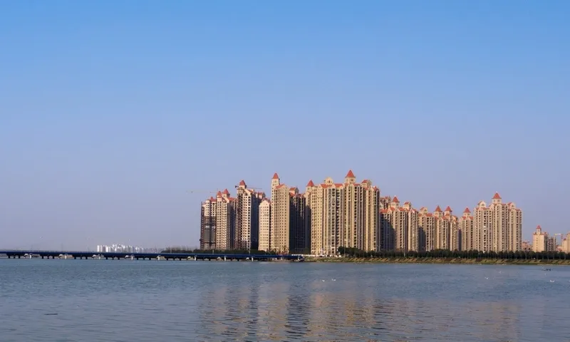 新湖招聘：行业动态与人才需求