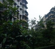 中央花园二期5室1厅西南