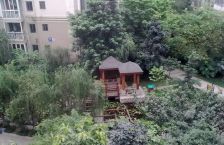 水木光华 1室1厅 西