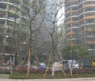 远大都市风景一期 3室2厅 西南