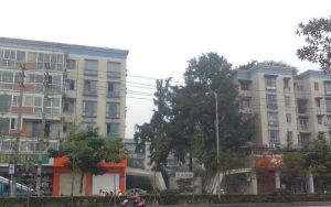香月楠岸2室1厅西南