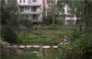 御源大湖区2室1厅南