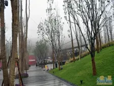 万科颐府内圈大花园 已经现浇 视野开阔