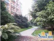 精装修一室采光好,配套成熟交通便利,双气电梯房。