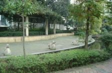 塞纳河畔3室2厅东南
