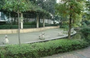 塞纳河畔3室2厅南