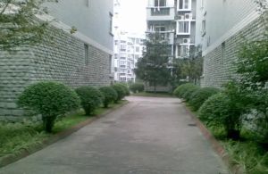 锦西民园4室2厅东南