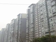 兴元绿洲一期 1室1厅 东南