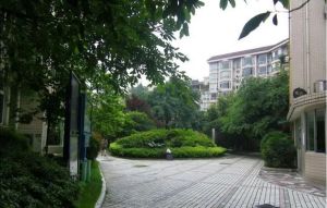 泰庄花园3室1厅南