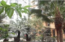 丽景天成 1室1厅 西