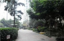 丽景天成 3室1厅 东南 南