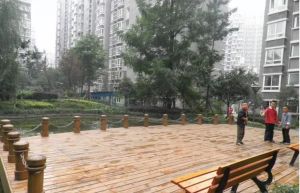 鸿运之星2室1厅西南