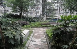 鸿运之星3室1厅东北