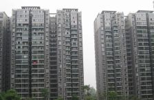 财富中心1室1厅东南