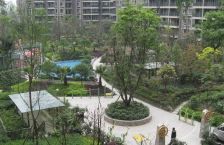 财富中心 1室1厅 西北