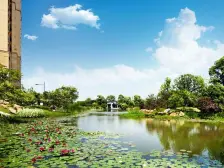 ·上海星河湾(二期)中间位置 精装4房 拎包入住