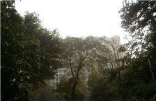 米兰香洲 2室2厅 南