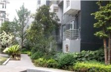 银唐国际 2室1厅 东南