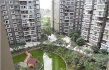 映日荷花 2室1厅 东 北