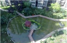 映日荷花 2室1厅 西