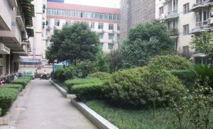 蜀馨苑B区2室1厅南