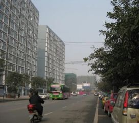 梧桐世家一期 1室1厅 南